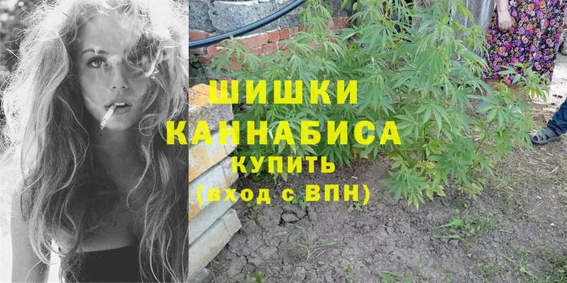 как найти   Новомосковск  Шишки марихуана THC 21% 